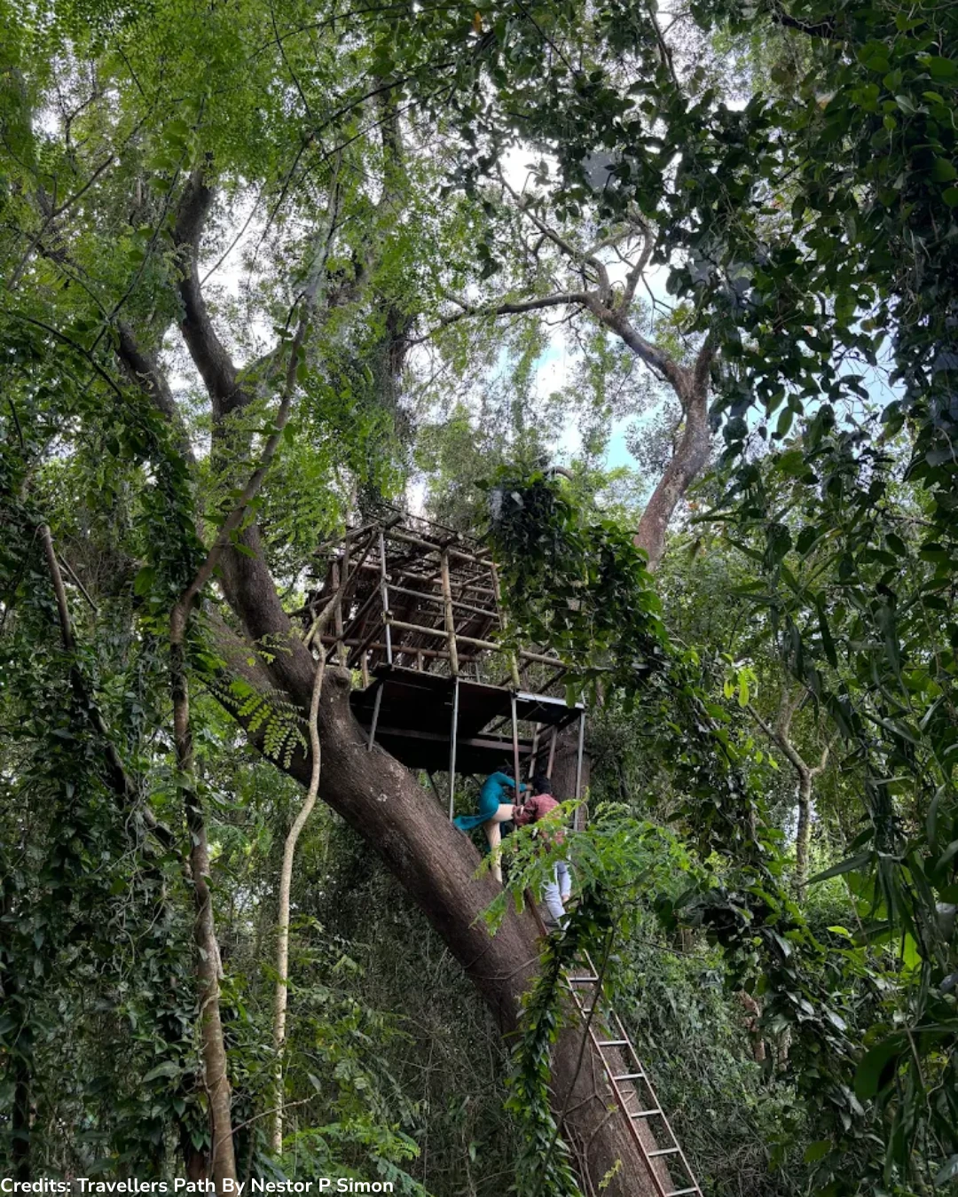 Pathiramanal Island Bird Sanctuary